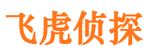 二道江市侦探公司